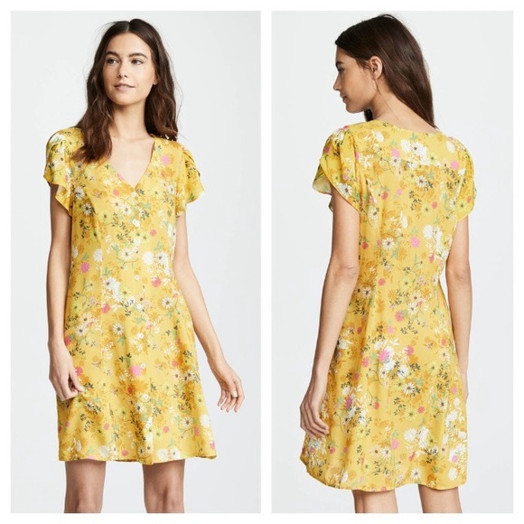 Velvet by Graham & Spencer Dresses & Skirts - Velvet by Graham & Spencer Kirstan Shirtdress